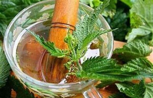 Nettle has a beneficial effect on power